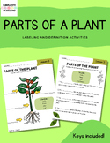 Parts of a Plant - Fill in the Blanks by Simplicity in Second | TPT