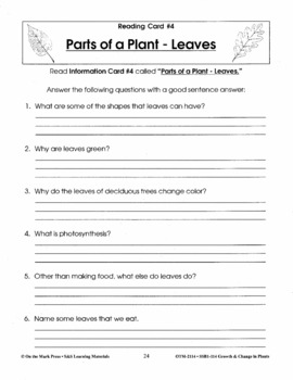 Parts of a Plant - Leaves Lesson Plan Grades 2-3 by On The Mark Press