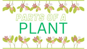 Preview of Parts of a Plant Lesson Slides