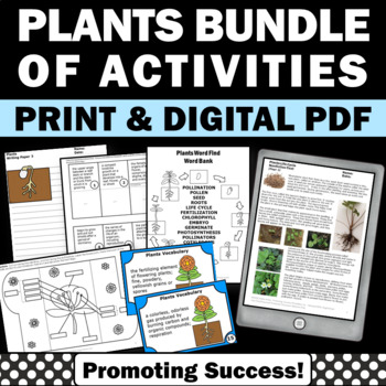 Preview of Parts of a Flower Plant Craft Worksheet Plant Life Cycle Craft All About Plants