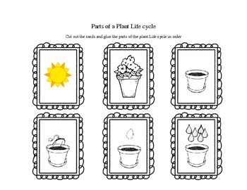 Preview of Parts of a Plant Life Cycle Cards