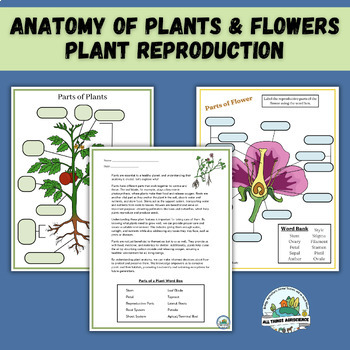 Preview of Parts of a Plant, Parts of a Flower, Plant Repro Worksheets & Activities Bundle