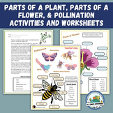 Parts of a Plant, Parts of a Flower, Pollination Activitie
