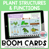 Parts of a Plant Parts of a Flower Vocabulary Activities B