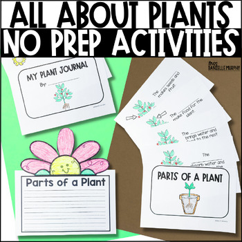 Preview of Life Cycle of a Plant, Plant Craft, All About Plants, Plant Journal