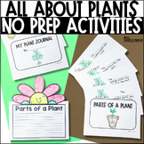 Life Cycle of a Plant, Plant Craft, All About Plants, Plan