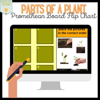 Preview of Parts of a Plant & Plant Life Cycle    { Promethean Board }
