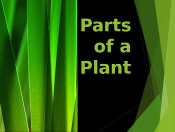Preview of Parts of a Plant/Plant Lifecycle Powerpoint