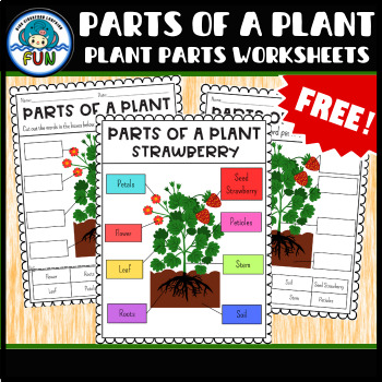 Preview of Parts of a Plant Plant Parts Worksheets and Diagram Poster