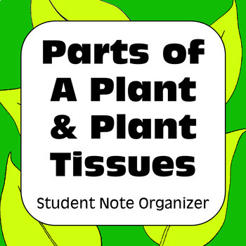 Preview of Parts of a Plant & Plant Tissue Types: Student Note Organizer