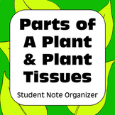 Parts of a Plant & Plant Tissue Types: Student Note Organizer