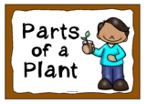 Parts of a Plant Poster Set | All the Features of a Plant 