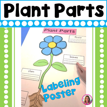 Details about   Childcraft Literacy Educational Cards Plants Fruit Roots Stem,leaves,flower 