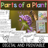 Parts of a Plant - PowerPoint / Printables / Google Classr