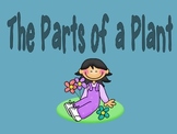 Parts of a Plant Powerpoint