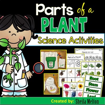 Preview of Parts of a Plant, Real Picture Cards, Notebook Activities, Printables