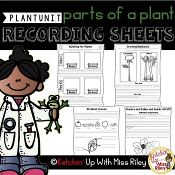 Preview of Parts of a Plant Recording Sheets