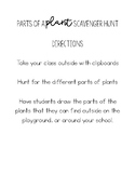 Parts of a Plant Scavenger Hunt