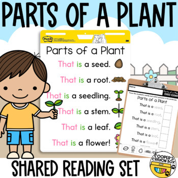 Preview of Parts of a Plant | Shared Reading Poem | Project & Trace