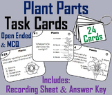 Parts of a Plant Task Cards: Stem, Seeds, Roots, Stamen, P