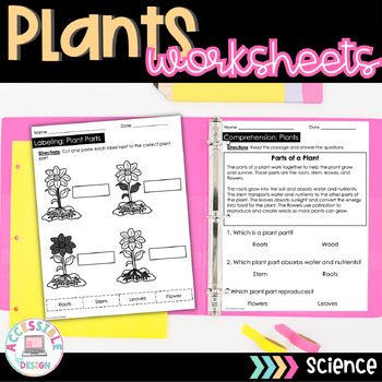 Preview of Parts of a Plant Unit | 10 Day Unit | Special Education 