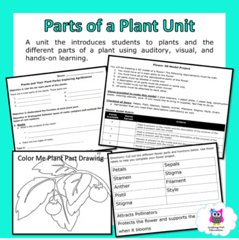 Preview of Parts of a Plant Unit