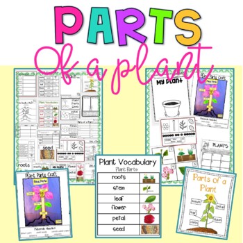 Preview of Plant Parts | Parts of Plants Complete Unit