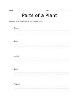 Parts of a Plant Vocabulary by Lauren DeSanto | TPT