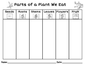 Parts of a Plant We Eat by Kindergarten Kreative | TpT