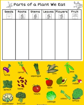 Preview of Parts of a Plant We Eat- Class Sort- Smart Notebook