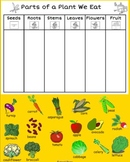 Parts of a Plant We Eat- Class Sort- Smart Notebook