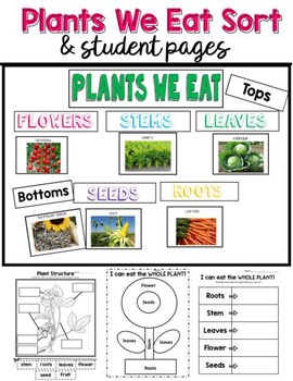 Preview of Parts of a Plant  We Eat Sort and Activity