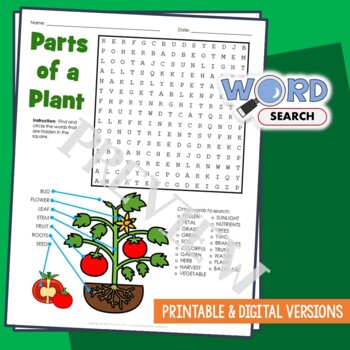 Preview of Parts of a Plant Word Search Puzzle Vocabulary Activity Worksheet Label Diagram