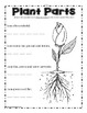 Parts of a Plant and Interdependent Ecosystems Packet by Worksheet Place