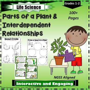 Preview of Parts of a Plant and Interdependent Ecosystems Packet