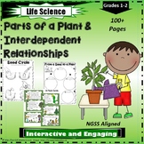 Parts of a Plant and Interdependent Ecosystems Packet