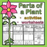 Parts Of A Plant Worksheet Teaching Resources | Teachers Pay Teachers