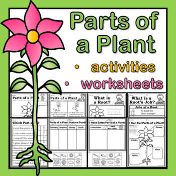 Preview of Parts of a Plant Worksheets and Activities