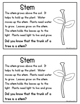 Parts of a Plant Writing Craftivity and Little Reader | TpT