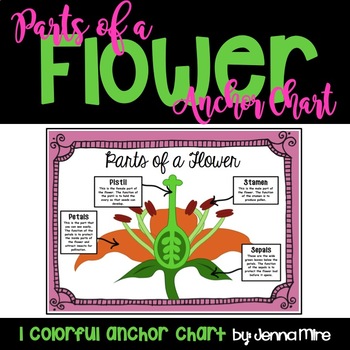 Preview of Parts of a Flower anchor chart