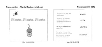 Preview of Parts of a Plant and Flower Review - Smartboard Activity