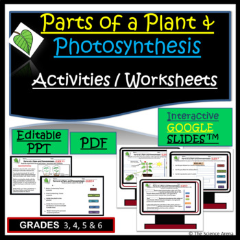 Preview of Parts of a Plant and Photosynthesis Activities in PPT Google SlidesTM and PDF