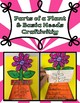 Parts of a Plant and the Basic Needs of a Plant by Suzie Cook | TpT