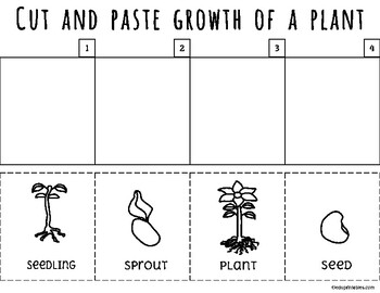 Parts of a Plant and the Plant Life Cycle by eduprintables | TpT