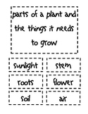 Parts of a Plant and the Things it needs to grow