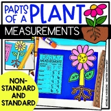 Parts of a Plants Measurement Activities Standard NonStandard