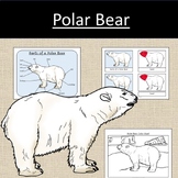Parts of a Polar Bear Science Ice winter Anatomy Kindergarten