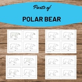 Parts of a Polar Bear Work Winter Preschool Montessori