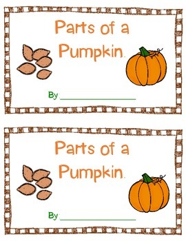 Parts Of A Pumpkin For Kids