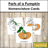 Parts of a Pumpkin 3-Part Cards - Montessori Nomenclature